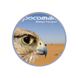 pocomail to outlook pst 